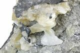 Sandwich Calcite Crystal Cluster with Pyrite - Inner Mongolia #181717-10
